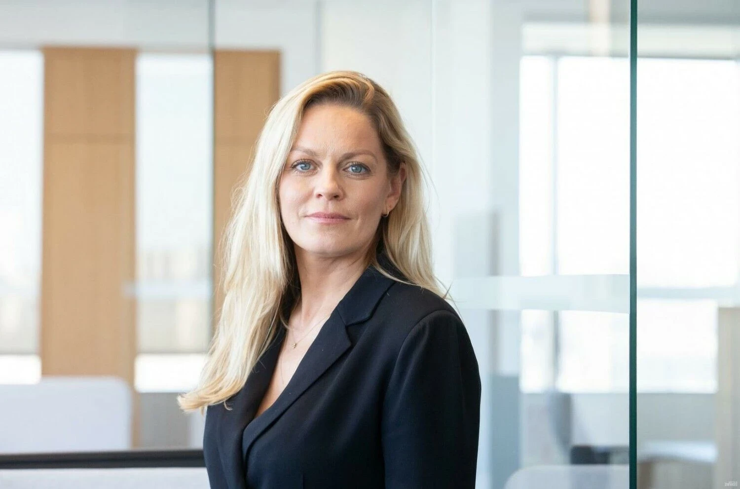 Roberta Rudokienė, Lietuvos verslo angelų tinklo LitBAN vadovė